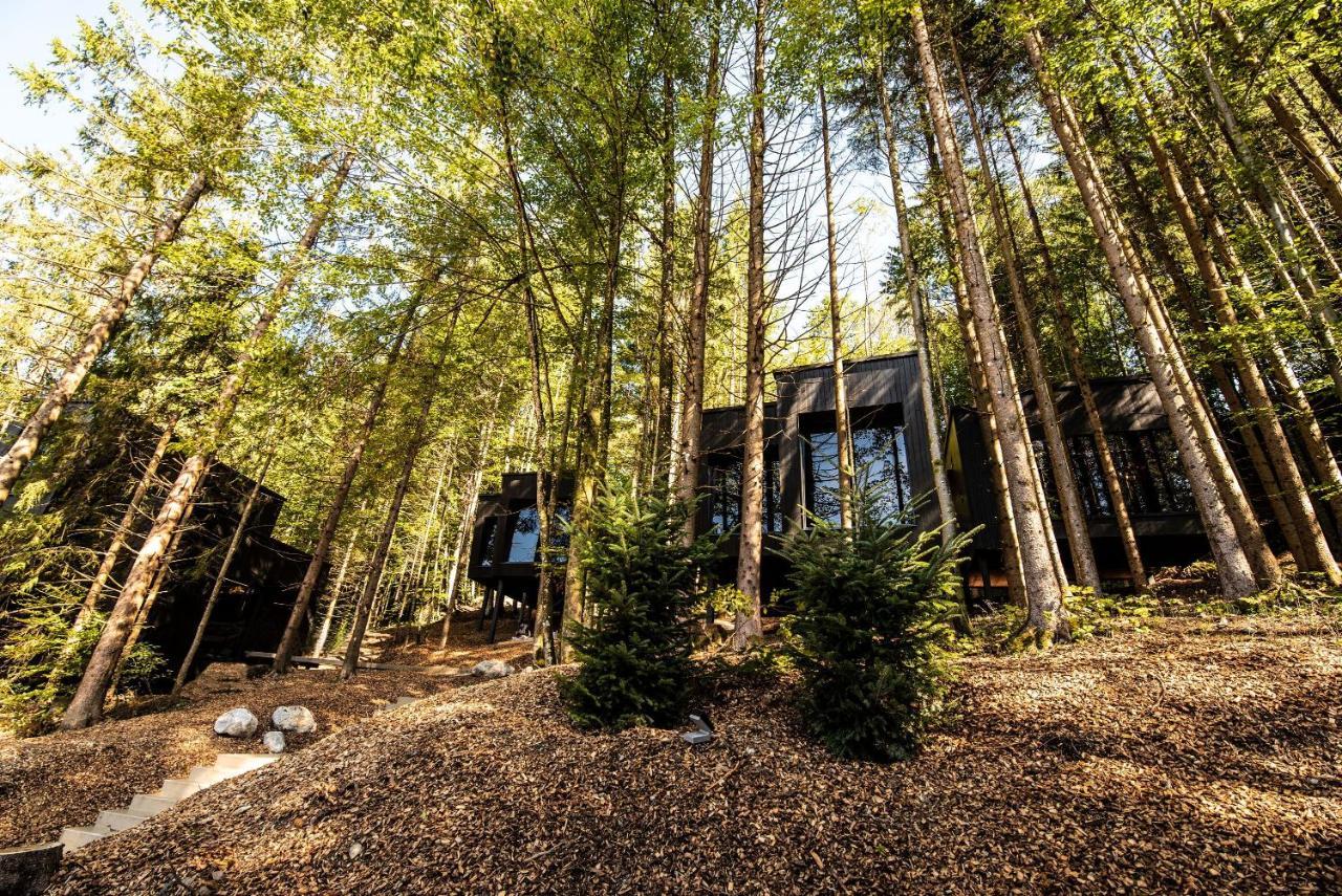 Hotel Fischerwirt Natur Waldspa Faistenau Exteriér fotografie