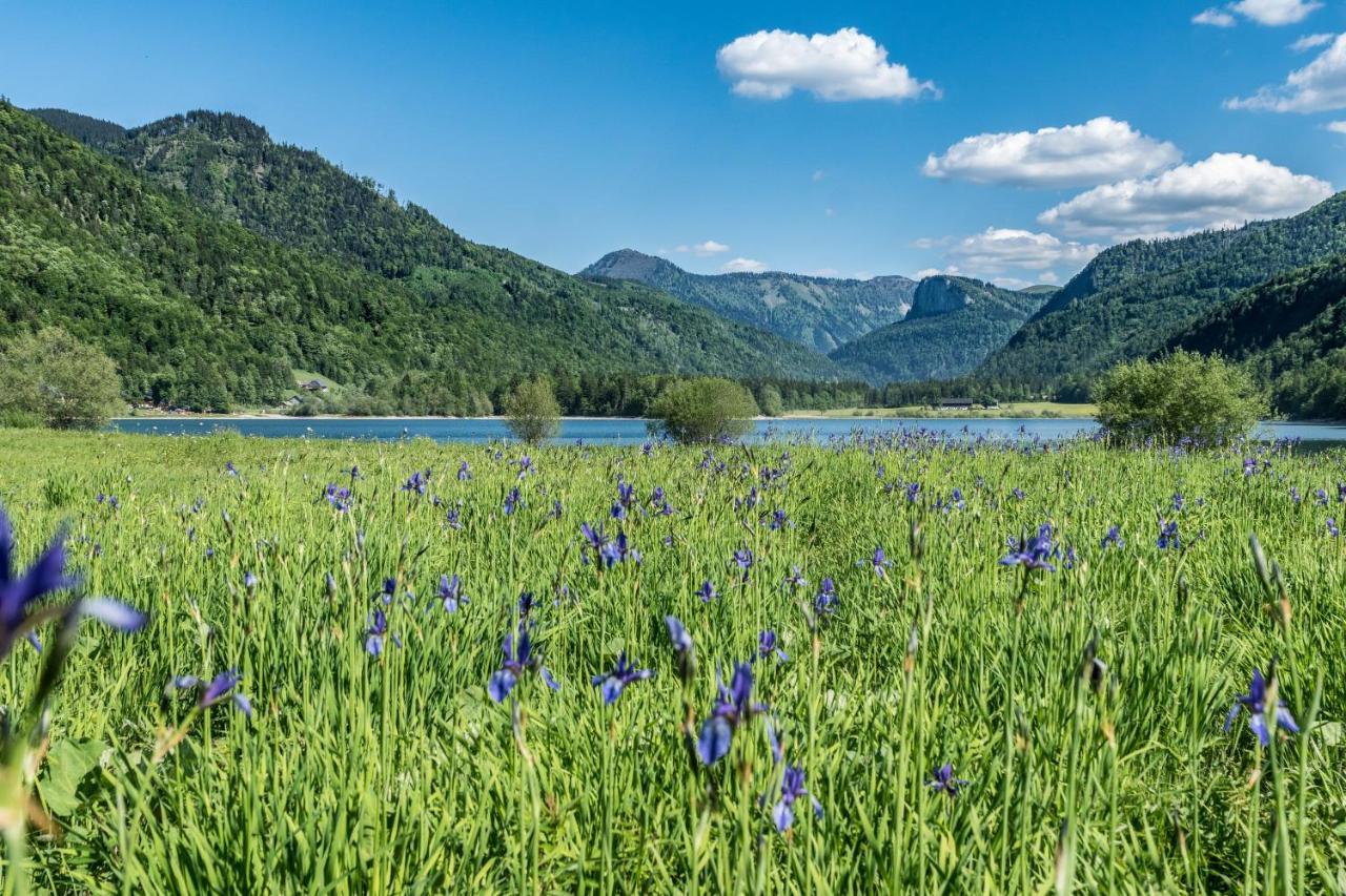 Hotel Fischerwirt Natur Waldspa Faistenau Exteriér fotografie