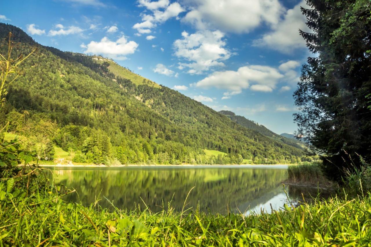 Hotel Fischerwirt Natur Waldspa Faistenau Exteriér fotografie
