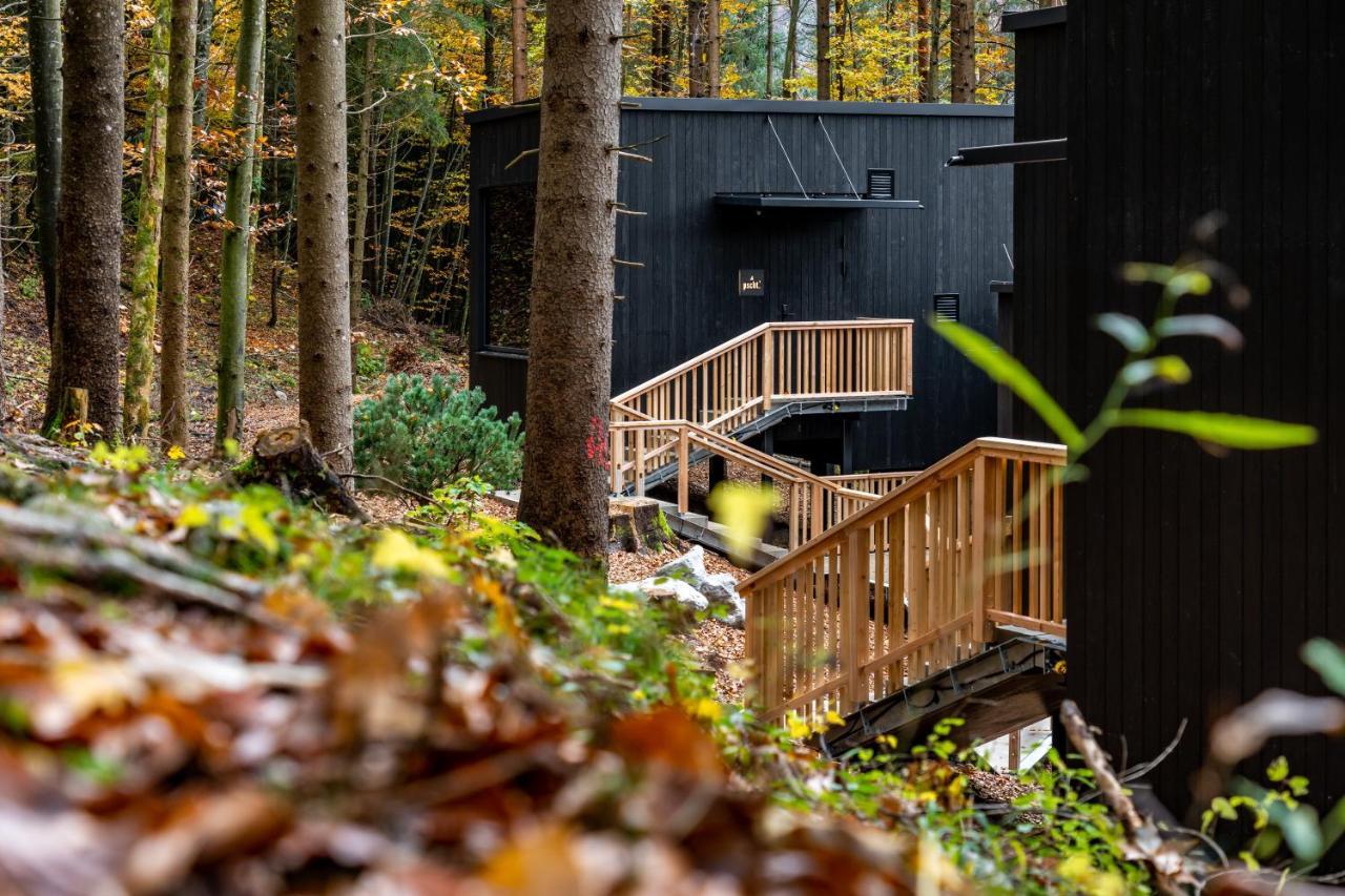 Hotel Fischerwirt Natur Waldspa Faistenau Exteriér fotografie